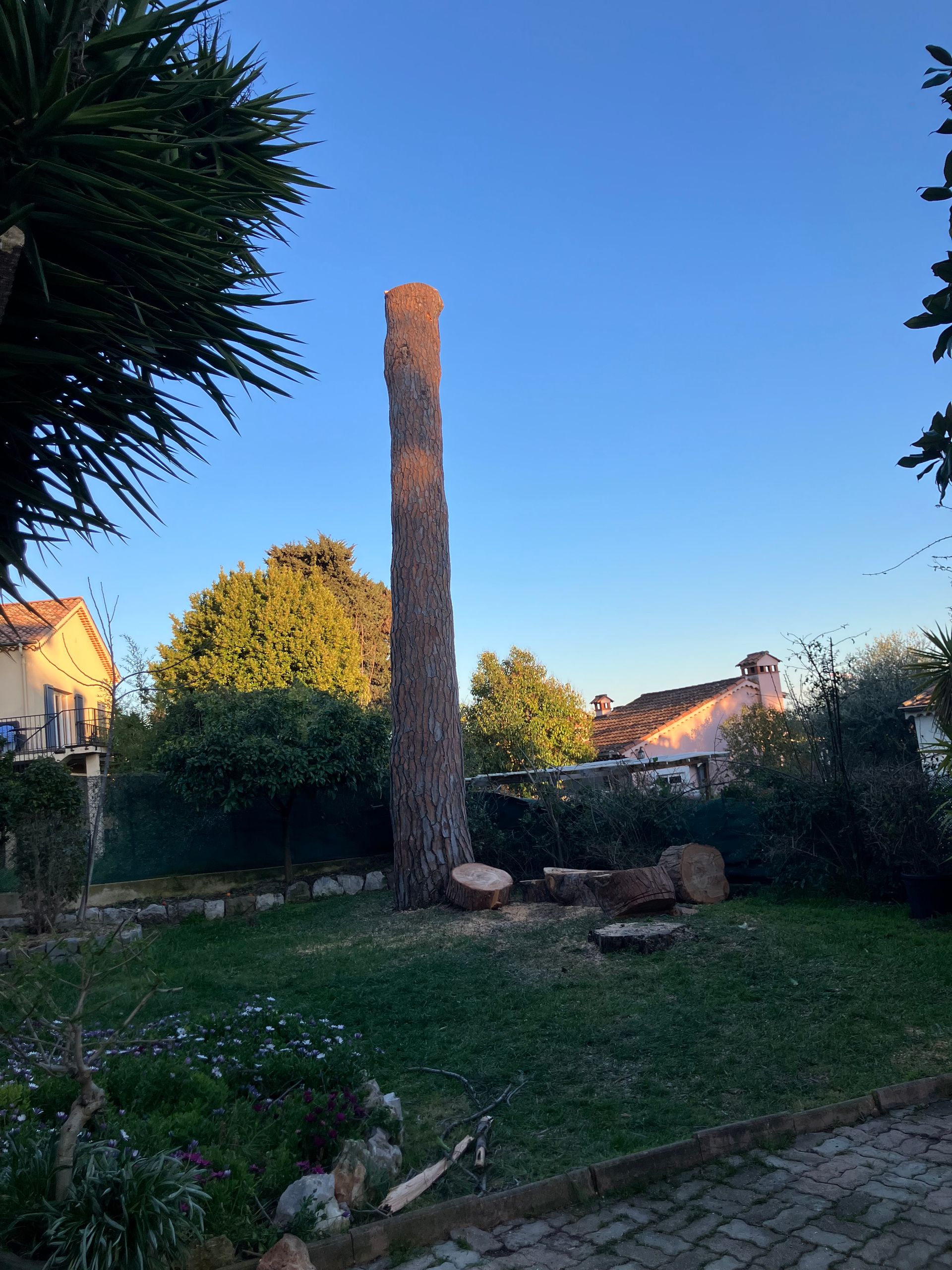 Réalisation paysagère ARBRECO à Vallauris