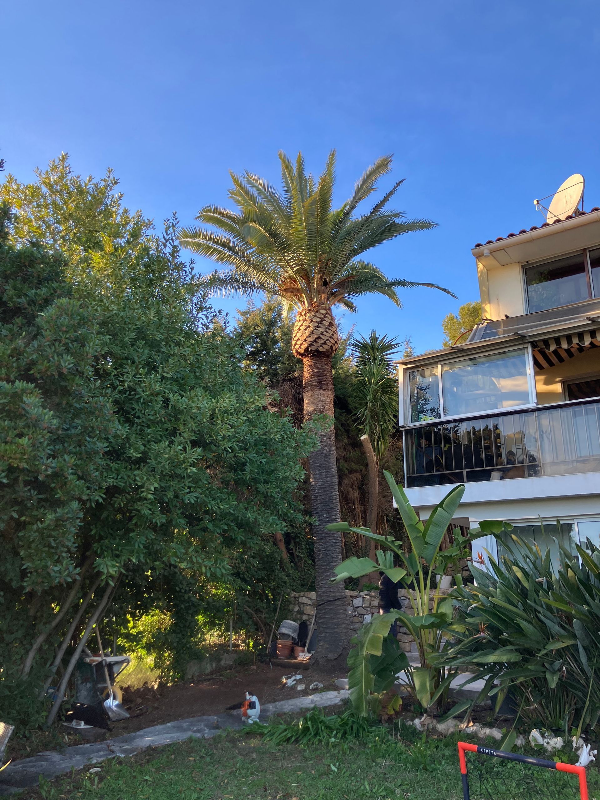 Jardin paysager à Vallauris — ARBRECO